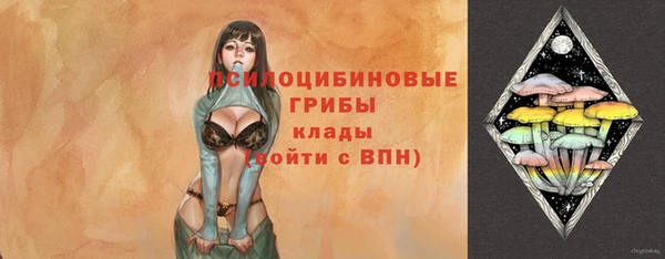 стафф Осташков