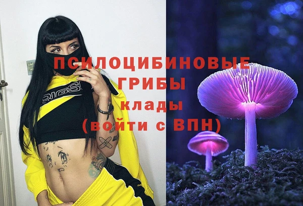 стаф Абинск