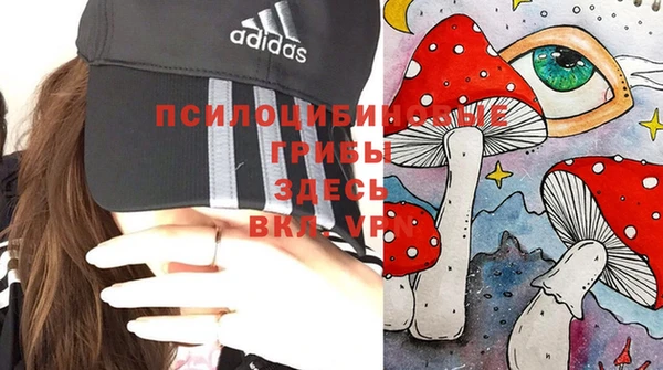 первитин Абаза