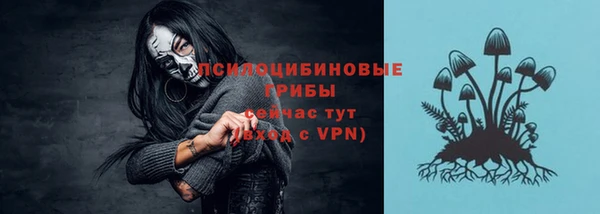 стаф Абинск