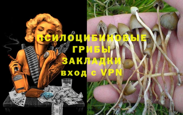 стаф Абинск